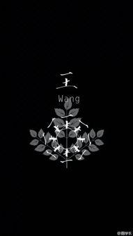 关于姓氏的背景音乐,探寻家族传承的音符之旅 第3张 关于姓氏的背景音乐,探寻家族传承的音符之旅 第3张