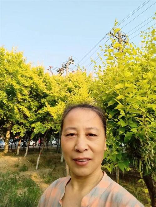 沧州的明星,揭秘沧州本土明星风采 第1张 沧州的明星,揭秘沧州本土明星风采 第1张