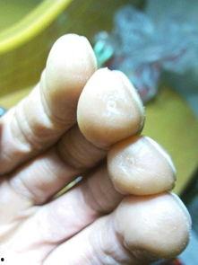 手长茧图片,手长茧的劳动者印记 第1张 手长茧图片,手长茧的劳动者印记 第1张