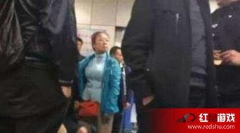 杀死腿腿凶手资料,凶手资料深度解析 第1张 杀死腿腿凶手资料,凶手资料深度解析 第1张