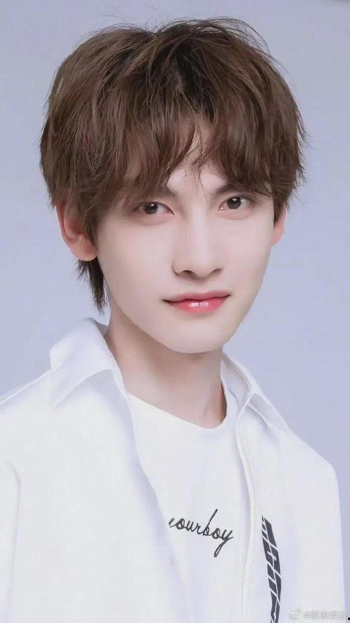 娱乐吃瓜姐妹胡文煊是谁,胡文煊的崛起之路 第2张 娱乐吃瓜姐妹胡文煊是谁,胡文煊的崛起之路 第2张