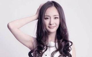 杨幂个人资料简介及,影视界璀璨明星,多才多艺的时尚达人 第2张 杨幂个人资料简介及,影视界璀璨明星,多才多艺的时尚达人 第2张