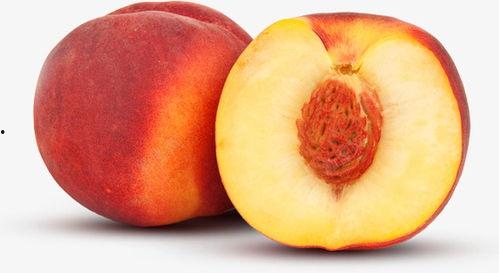 桃子的简短资料,探寻桃子的魅力与营养 第1张 桃子的简短资料,探寻桃子的魅力与营养 第1张