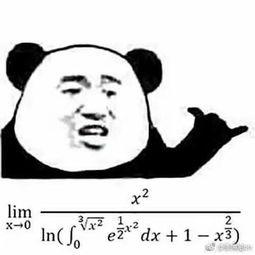 表情包 求极限,捕捉瞬间情感与哲理  第2张