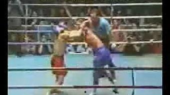 泰国搞笑拳击,搞笑拳击的泰国风情之旅 第2张 泰国搞笑拳击,搞笑拳击的泰国风情之旅 第2张