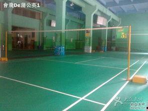 羽毛球场照片,激情四溢的竞技风采 第2张 羽毛球场照片,激情四溢的竞技风采 第2张
