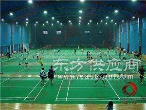羽毛球场照片,激情四溢的竞技风采 第3张 羽毛球场照片,激情四溢的竞技风采 第3张