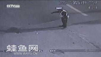 协警查个人资料  第1张