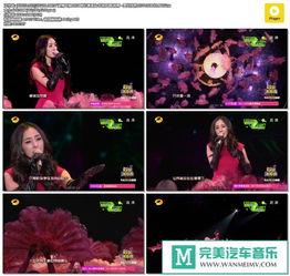 爱的供养背景音乐,旋律中的温暖与力量  第2张