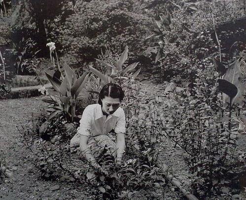 于凤至年轻真实照片  第2张