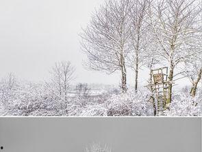 白雪图片大全,冬日白雪美景集锦  第1张