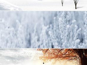 白雪图片大全,冬日白雪美景集锦  第2张