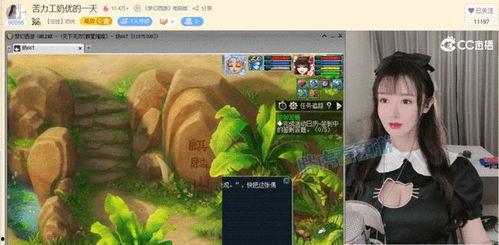 女主播奇奇视频直播  第2张