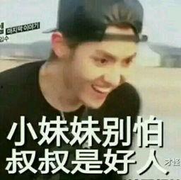 exo表情包污的,揭秘网络热图的趣味与争议 第1张 exo表情包污的,揭秘网络热图的趣味与争议 第1张