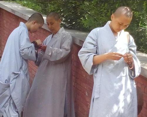 五台山尼姑图片,宁静圣地的修行者风采 第1张 五台山尼姑图片,宁静圣地的修行者风采 第1张